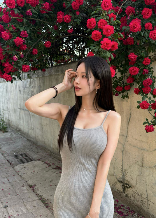 고양출장샵 노카이(일본)